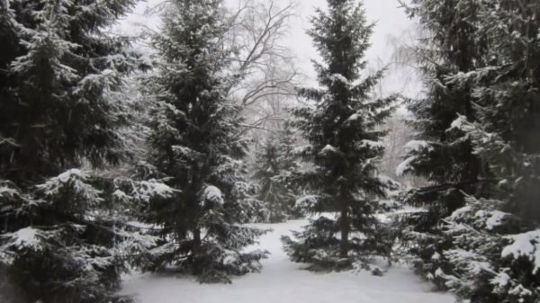 Фристайл Нина Кирсо - Падали белые снежинки - remars65