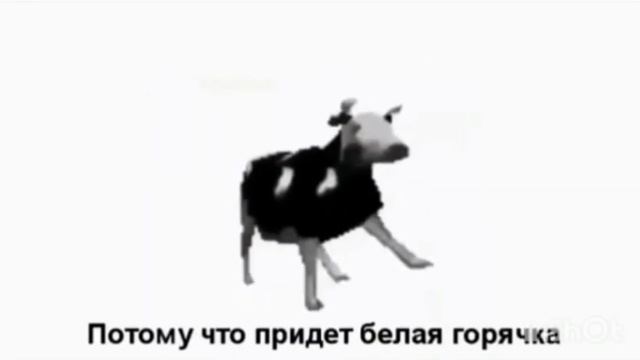 перевод,песни мема, корова Польская смотреть онлайн