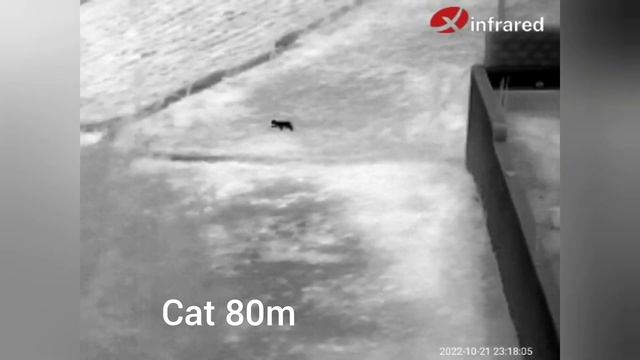 This is a Game Changer for Night Thermal Hunting | InfiRay T2pro смотреть онлайн