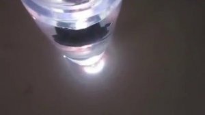 Проекция (проектор) логотипа авто в двери Carshock.ru