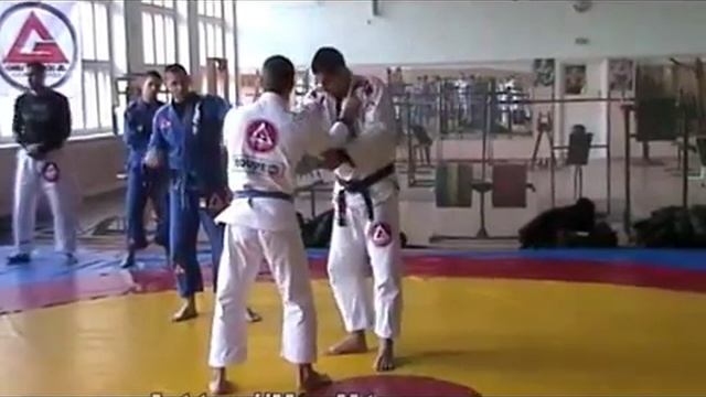 Семинар бразильское джиу джитсу 8/23 смотреть онлайн
