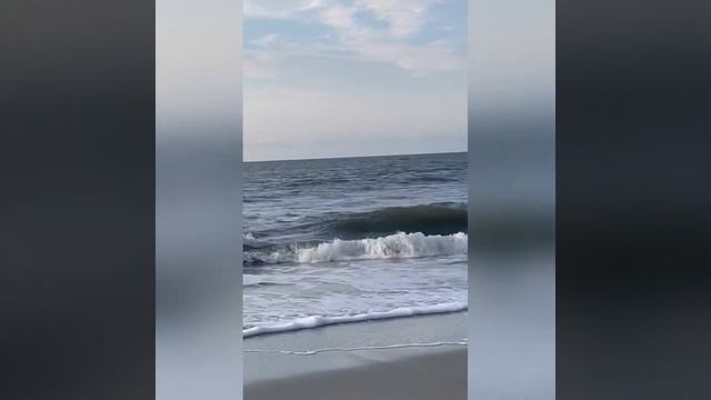 МЕДУЗЫ на острове Hilton Head , ЮЖНАЯ КАРОЛИНА .ПЛЯЖ 🏖.JELLYFISH смотреть онлайн