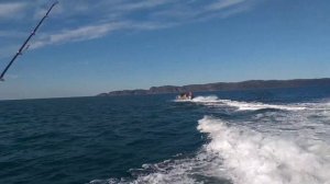 морская рыбалка в Териберке (элементы) и тур по интересным местам Териберки