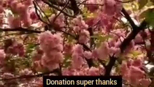 ayatul kursi 4 Qul surah Fatiha (Episode 557) 7 Taims repeat with Arabic Text beautiful (Arsh)#ayat смотреть онлайн