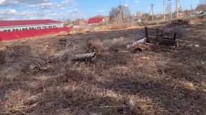 Купила землю под питомник растений