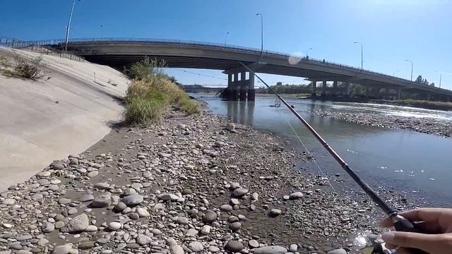 Ловля голавля в городской черте (р.Кубань)