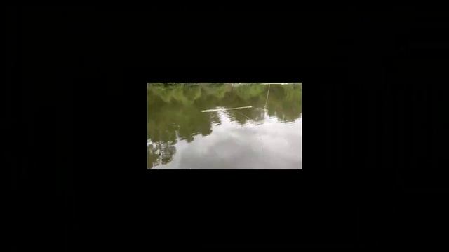 ЛОВЛЯ НА ЭКРАНЫЗАБОРЧИКИКУЧА РЫБЫ!