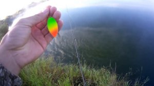 С кумом охотимся за карьерной щукой/тестим спиннинг Kaida Hooligan 2,4 м, тест 5-20 гр.