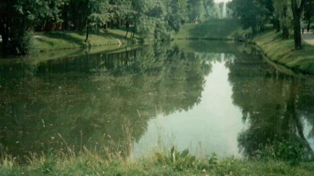 Дик в Воронцовском парке.