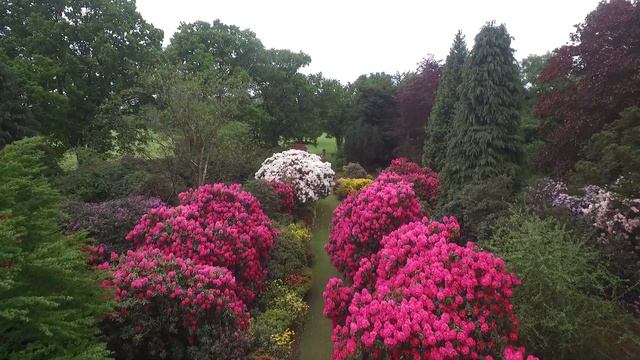 Stody Lodge Gardens смотреть онлайн