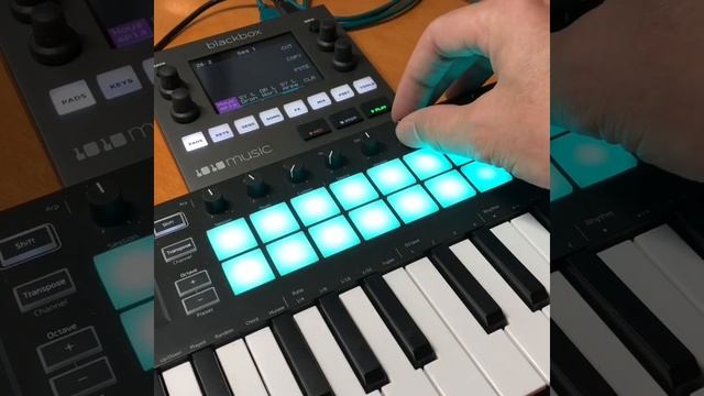 Blackbox 1.3 with Novation LaunchKey Mini MK3 смотреть онлайн
