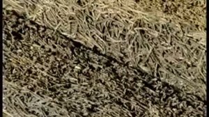 Технология производства фибролитовых плит Green Board