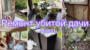 Ремонт убитой дачи. Часть 7. Обшиваем стены. Посадка туй. Огород. Дача.