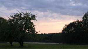 Звуки деревни летним вечером для сна и отдыха. Почувствуйте гармонию с природой