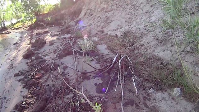 Поход. Птичий остров. Снова по разливам на байдарке в Сибири.. смотреть онлайн