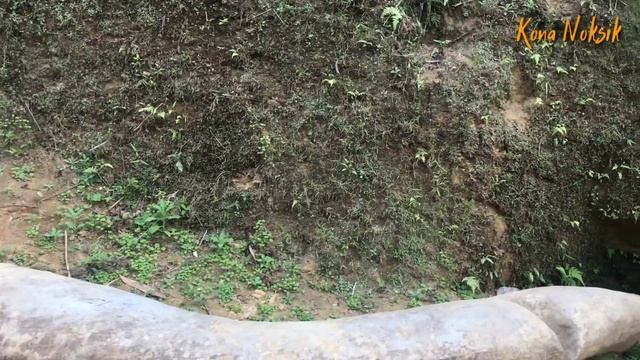 Chipu Roong pila | Fossil Python Discover | South West Garo HIlls смотреть онлайн