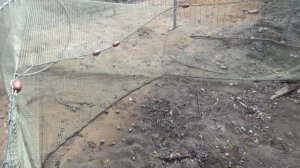 Использование рыболовных мереж и вентерей в северных районах страны.