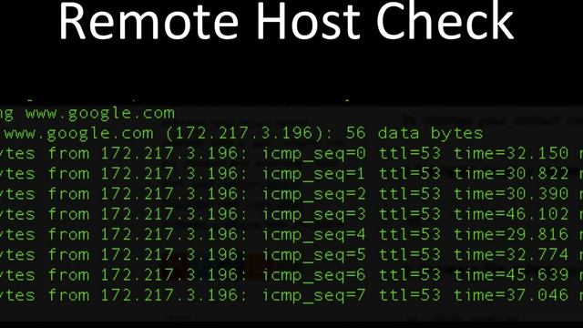 How will you check if a remote host is still alive? смотреть онлайн