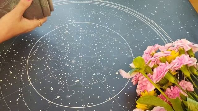 Есть ли соперница рядом сейчас смотреть онлайн