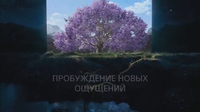 Реклама телевизора Сони Бравия 2018 смотреть онлайн