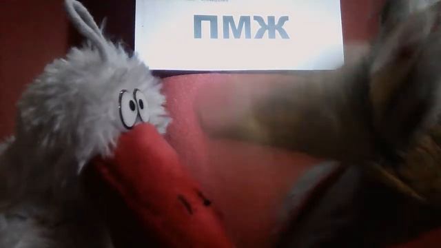 САТСАНГЕЛЫ(20211213)ПМЖ смотреть онлайн