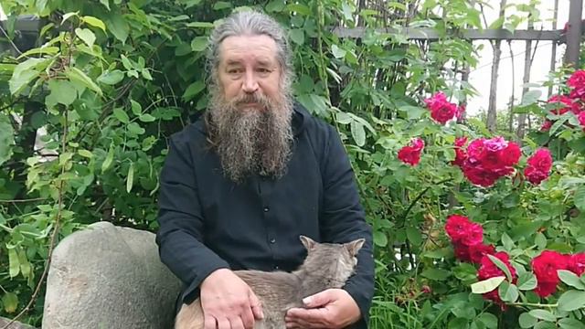 Сергий стал пародией на хабат смотреть онлайн