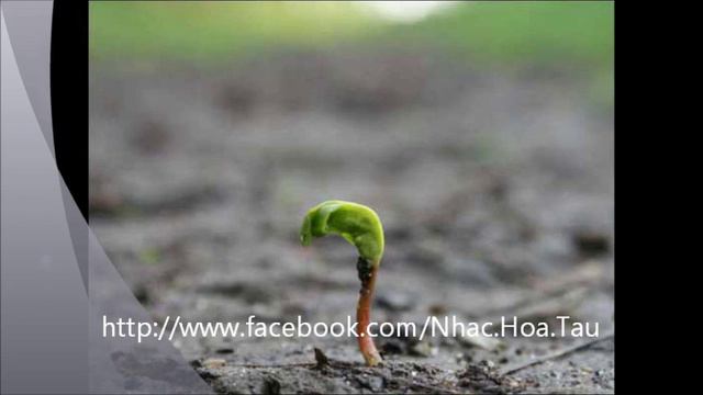 Hijo De La Luna - Bandari.wmv смотреть онлайн