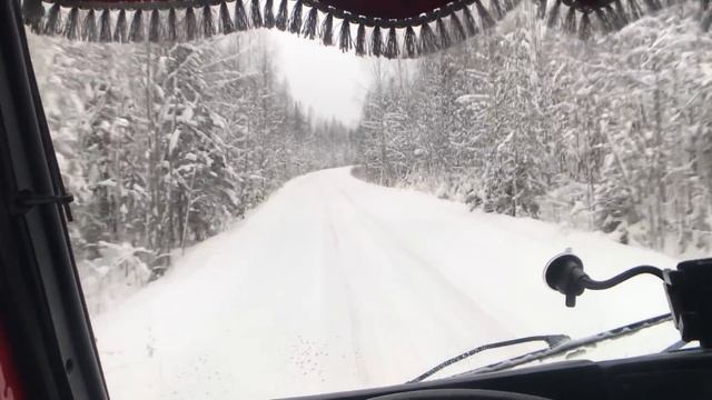 Новые правила в лесу. Кому это надо? Зачем всё УСЛОЖНЯТЬ??? смотреть онлайн