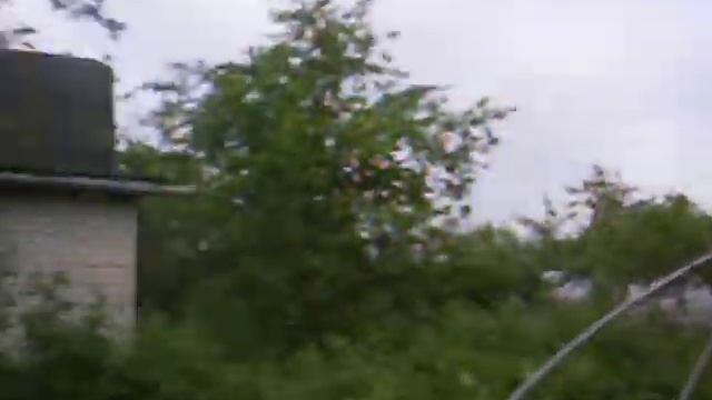 На даче поэта ГЕРУНА цветёт ЖАСМИН смотреть онлайн