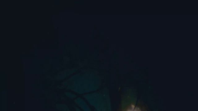 shaman drums смотреть онлайн