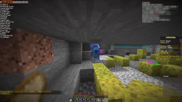 CRASHING a Pay to Win Minecraft Server with World's Largest Lag Machine - Herobrine.org смотреть онлайн