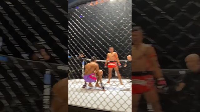 Муай-тай в Клетке ! Лбом на встречу локтю ! смотреть онлайн