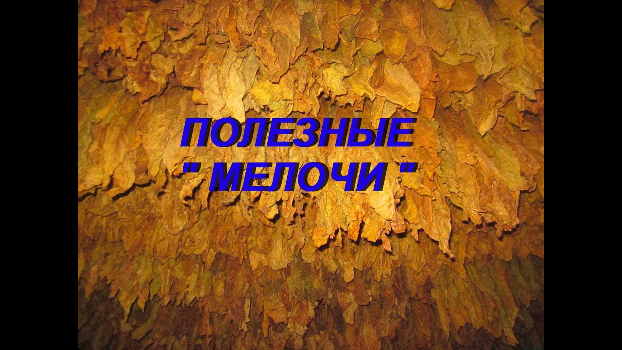 ПОЛЕЗНЫЕ 
