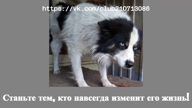КАТАСТРОФА! ВЫЛЕТ через 2 дня! смотреть онлайн