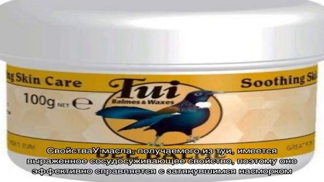 Масло туи при насморке у детей смотреть онлайн