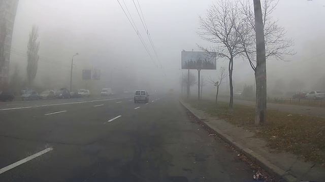 MERCURY GLOBAL  Отзывы