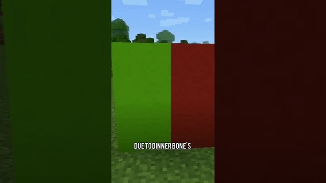 Ruby ore in Minecraft?!? смотреть онлайн