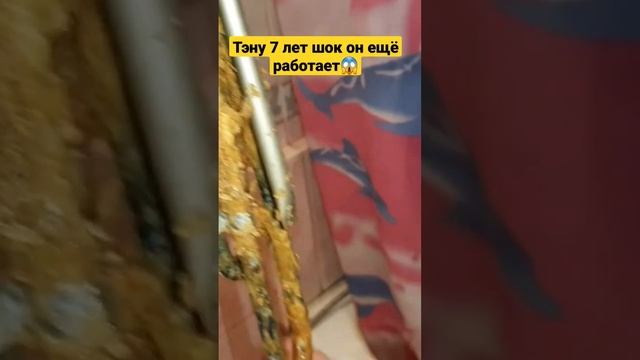 #ЧИСТКА БОЙЛЕРА #ТЭН ВОДОНАГРЕВАТЕЛЯ TERMEX #МНОГО НАКИПИ смотреть онлайн