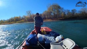 Вот это удача! Поймал самого большого тайменя на Алтае/Рыбалка на реке Катунь