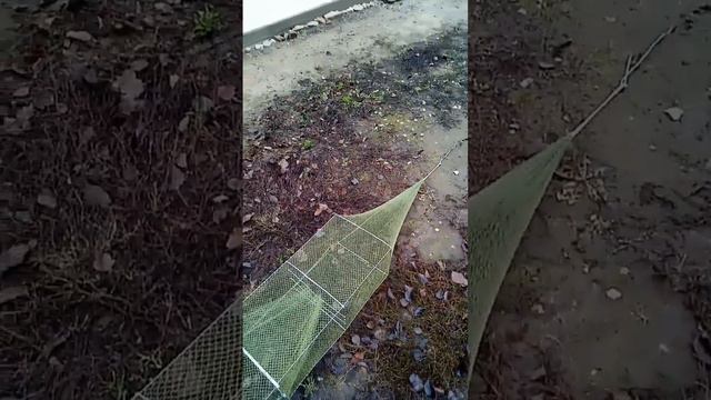 Раколовка гармошка ( СУПЕР РАКОЛОВКА С НЕ ОБЫЧНЫМИ ВХОДАМИ)) смотреть онлайн
