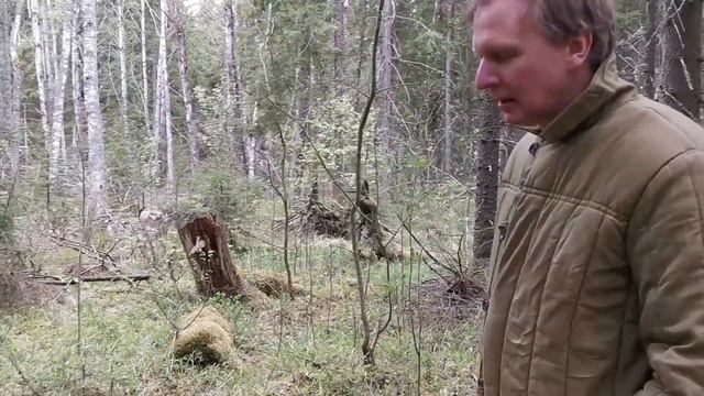 Надо жить настоящим! Хотя сейчас уже будущее... смотреть онлайн