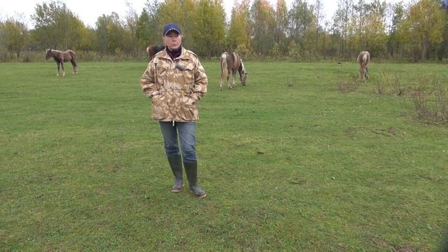 Почему наш проект называется "Русская" серебристая. смотреть онлайн