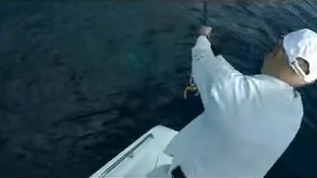 Giant Trevally 47 kg. Гигантский каранкс смотреть онлайн