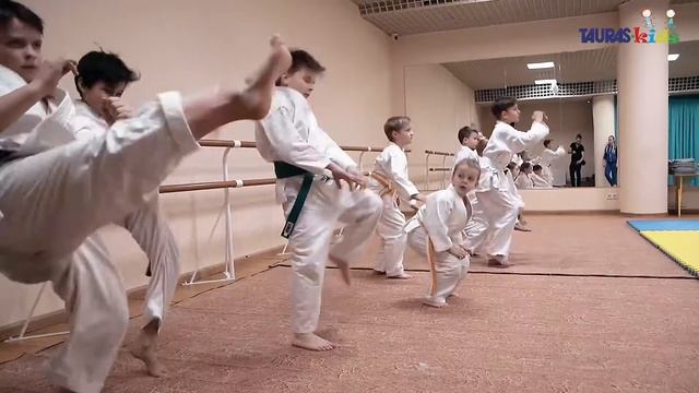 Секция карте смотреть онлайн