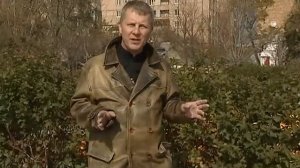 ИВАН ПАНФИLOVE Государство БОХАЙ