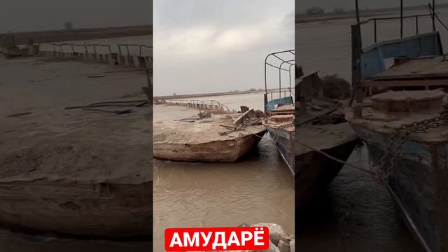 АМУДАРЁ СУВ ТОШТИ 😳🔥🔥 7 марта 2023 г. смотреть онлайн