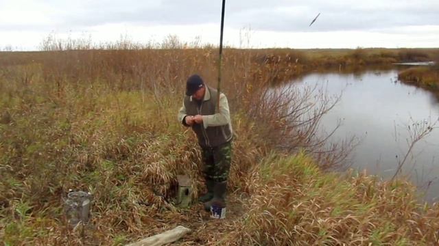 КАРАСЬ НА ПОДЕРГУШКУ, СОРОГА НА ПОПЛАВОЧКУ! РЫБАЛКА ОДНИМ ХОЛОДНЫМ ДНЕМ! смотреть онлайн