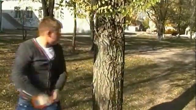 От содружества к единству, смотреть онлайн