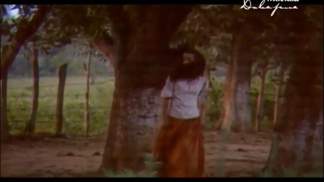 Вспомнить всё  083   Сериал Рабыня Изаура и варёная кукуруза