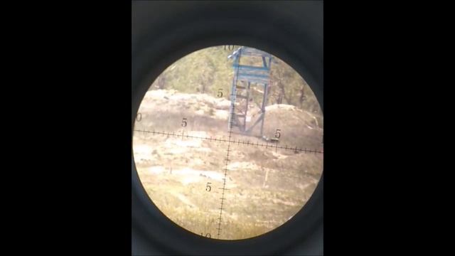 НШС, работа с ветром, 308 калибр 300 и 500 метров смотреть онлайн